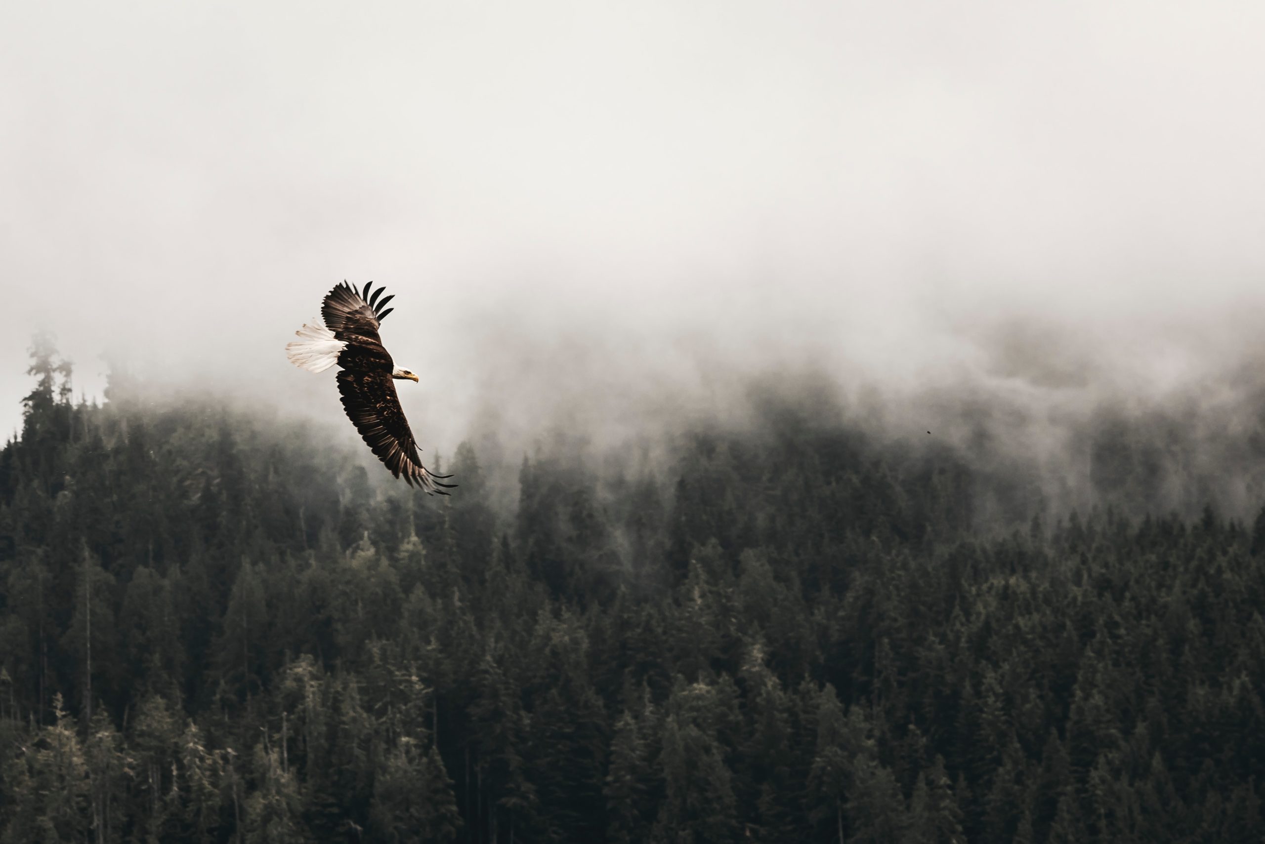 Walk By The Spirit